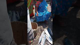 பர்ளா மீன் ஏலம் #short  #காசிமேடு #fishmarket #giriofficial #video#2023