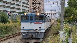 [更新色のクリーンかわさき号] 11月14日小田栄駅 新鶴見A73運用 153レ EF65 2060