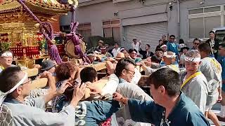 令和６年鮫洲八幡神社例大祭宮神輿渡御