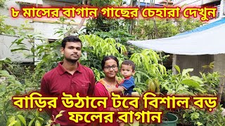 বাড়ির উঠানে আস্ত একটি ফলের বাগান মাত্র ৮ মাসে গাছের চেহারা দেখে অবাক হবেন সকলেই