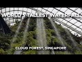 World's Tallest Indoor Waterfall - Cloud Forest - Gardens By The Bay - Singapore Series 🇸🇬