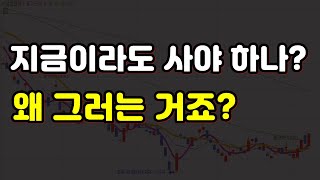 지금이라도 사야 하나?