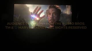 Avengers: Endgame "I Am Iron Man" Audience Reaction