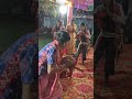 bhanumati seth ledies kirtan lurupali short video patelsirkirtan shortvideo