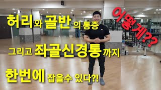 허리통증 골반통증 다리저림 좌골신경통을 한번에 잡을수있다??