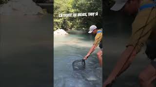 River trout in valais Switzerland. #switzerland #fishing #hiking #thụysĩ #pêche #truit #outdoors