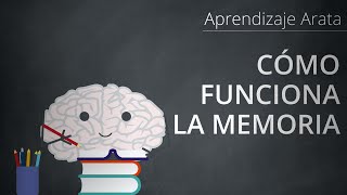 Cómo funciona tu memoria: codificación, almacenamiento y recuperación | Aprendizaje Arata 19