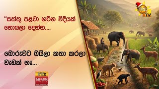 ''සත්තු පළවා හරින විදියක් හොයලා දෙන්න....බොරුවට බයිලා කතා කරලා වැඩක් නෑ... '' - Hiru News