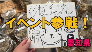 高額種も売れたしオークションは神ってた！初開催のクワカブ即売会イベントに参戦してきました！