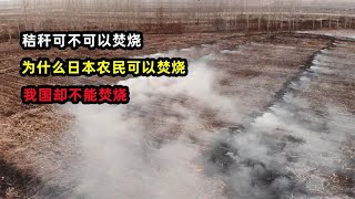 秸秆可不可以焚烧？为什么日本农民可以焚烧，我国却不能焚烧？