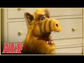 ALF Witnesses a Murder?! | S1 Ep21 Clip