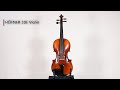 Höfner 10E Violin