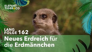 Große Herausforderung für die Erdmännchen! (Langfolge 162) | Elefant, Tiger \u0026 Co. | ARD