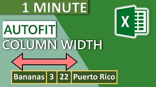 Excel Column Autofit Width (2020) - 1 MINUTE