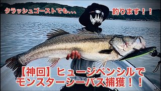 【神回】今、巷で噂のヒュージペンシルとクラッシュゴーストで中海のモンスターシーバス捕獲！！