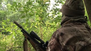 The Airgun Show – autumn squirrel shooting and the Weihrauch HW100KT