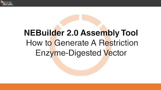 NEBuilder Assembly Tool 2.0 Restriction Enzyme Digest