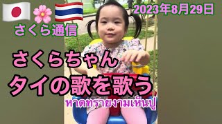 タイの歌を歌うさくらちゃん🌸2023年8月29日🌸さくら通信🌸日泰ハーフ2歳8ヶ月