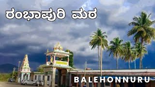 ಬಾಳೆಹೊನ್ನೂರು ರಂಭಾಪುರಿ ಮಠ🙏🙏 #balehonnur