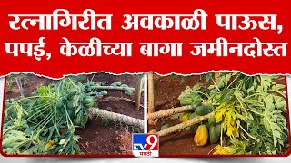 Ratnagiri Unseasonal Rain | रत्नागिरी जिल्ह्यात अवकाळी पाऊस,  पपई बागातदारांना अवकाळीचा फटका