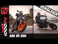 KTM 890 Duke vs. KTM 390 Duke 2021 - Kaufberatung A2 Motorrad