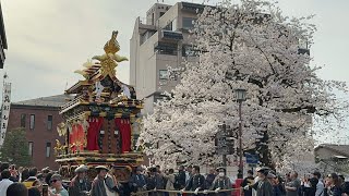 春の高山祭【山王祭】 2024 曳き別れ