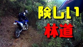 爽やかジャングル林道ツーリング♪ ⑤ 【険しいジャングル林道!!】