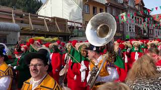 Großer Schuttig- und Fackelumzug 2019 in Elzach