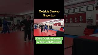 Outside Sankyo with extra Leading and Reversal #aikijutsu #aikido #karate