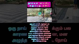 நாய்கள் சாப்பிட மறுப்பது ஏன்? #viralvideo #trending #ytshorts #trendingshorts #tamil #doglover