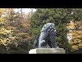 【full hd】諏訪大社下社（秋宮）の紅葉｜autumn leaves of suwa taisha shrine akimiya in nagano prefecture