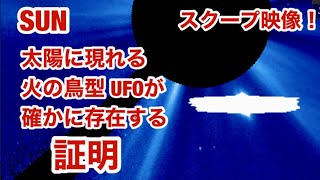 太陽に現れる火の鳥型UFOが確かに存在する証明スクープ映像！