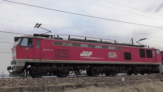 EF510-17牽引高速貨物3097ﾚ　岡山→吹田→新潟【4K】