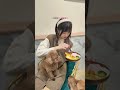 🐾台南永康寵物友善咖啡館 貓狗陪你享受美味時光！🐶🐱