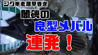 【メバリング】暗闇の地磯(闇磯)でメバリングしたらいいサイズのメバルが連発しました！