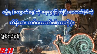 ဂမ္ဘီရ ကျောက်ခရု နှင့် လူတစ်စု ၏ ဖြစ်ရပ်ဆန်း