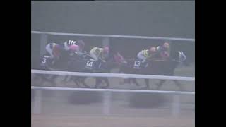 ケイエスミラクル 1991年 第8回マイルチャンピオンシップ(GI) (優勝馬：ダイタクヘリオス)