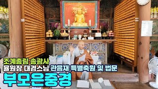 [LIVE]대경스님 관음재 특별축원 및 법문(조계총림 송광사 율원장) 23.6.12