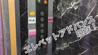 【エレアド現存！】広島市中区内エレベーター［91］（三菱）