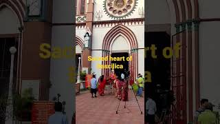 The Sacred heart of Basilica #Church#pondicherry#shorts #youtubeshorts #trending