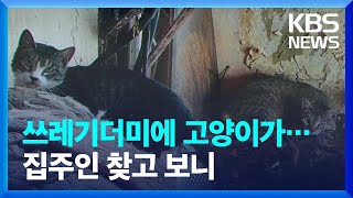 쓰레기더미 된 집안에 고양이 13마리는 왜 집을 잃었나? / KBS  2022.06.16.