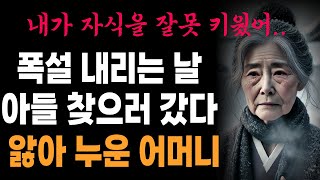 [감동신청사연] 폭설 내리는날 아들 찾으러갔다 앓아 누운 어머니, 가족 갈등 폭발과 화해