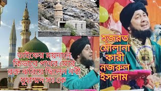 Waz Mahfil || তাইফের ময়দানে পাথর মেরে রক্তাক্ত আমাদের নবীজি কে। Kari Nazrul Islam saheb