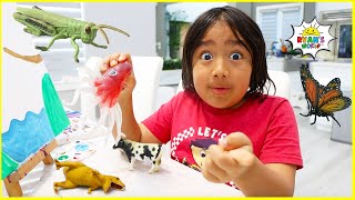 Ryan Pretend Play Bugs Catching and learning about insects for kids!!!
