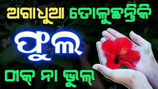 ( ଫୁଲ ତୋଳିବାର ନିୟମ ) ଅଗାଧୁଆ ଫୁଲ ତୋଲୁଛନ୍ତିକି, ସର୍ବନାଶ ହେବ | Odia Anuchinta#Sadhubani#Vastutipsodia