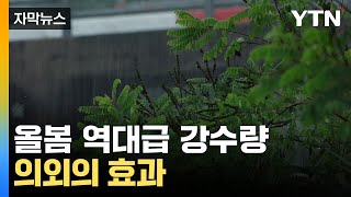 [자막뉴스] 비 많이 온다고 불평했는데...봄비 덕분에 '이것' 줄었다 / YTN