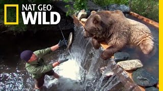 A Grizzly Birthday | Expedition Wild