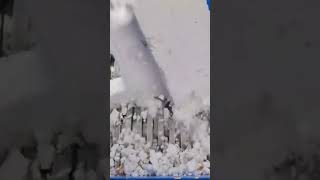 shredding Styrofoam #shreddingmachine #shredder #scisci