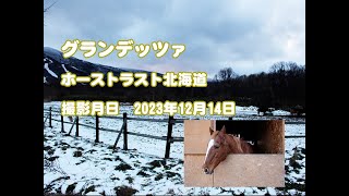 グランデッツァ近況報告(2023年12月撮影)