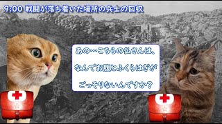 猫でみる日露戦争の衛生兵の1日【#猫ミーム】#猫meme